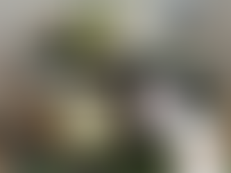 Atelier parents sur la crèche Marylou à Saint-André…