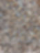 14mm mt william toppings.jpg