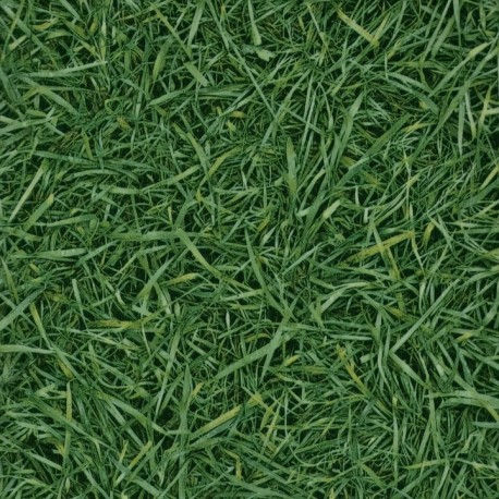 Grass-25