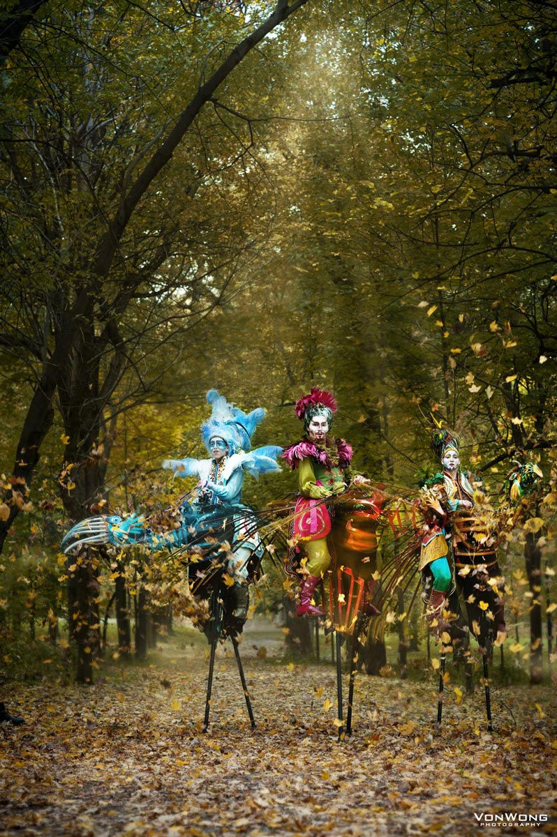BIENVENUE AU BAL DES OISEAUX !