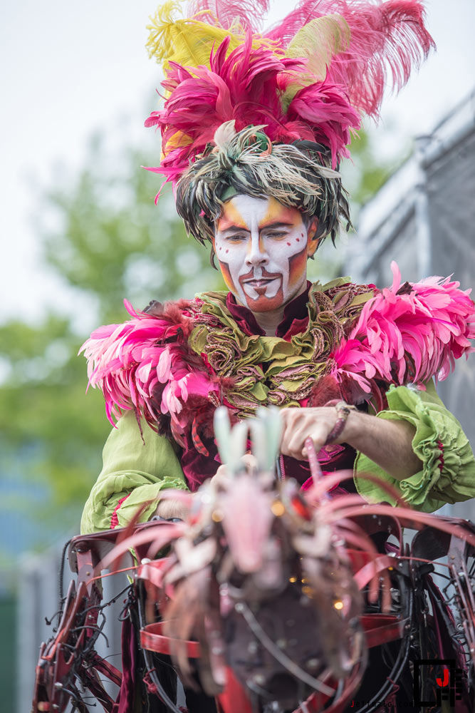 BIENVENUE AU BAL DES OISEAUX !