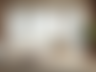 Window Design Ideas for Florida Homes: Style, Efficiency & Hurricane Protection