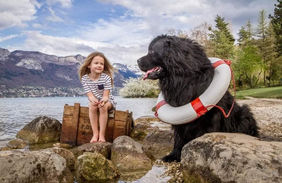 Bien préparer votre chien pour un shooting chez Camille DAR PHOTOGRAPHE