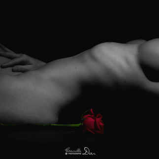 Nu Artistique Lingerie