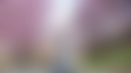Photographe grossesse en Haute-Savoie : des séances photo grossesse en extérieur pour sublimer votre maternité