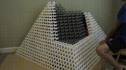 giphy (1).gif