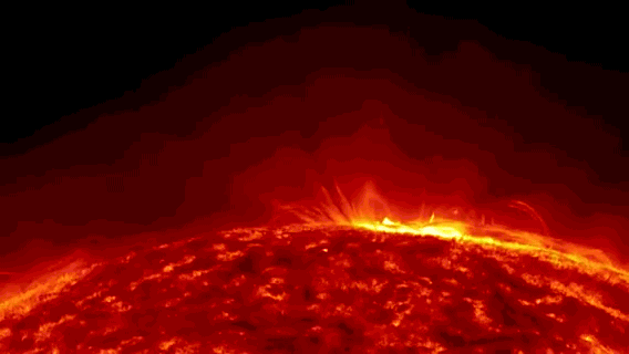 Sun-plasma (1).gif