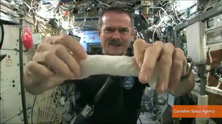 source.gif