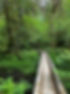 Person hiking on a bridge through the woods
