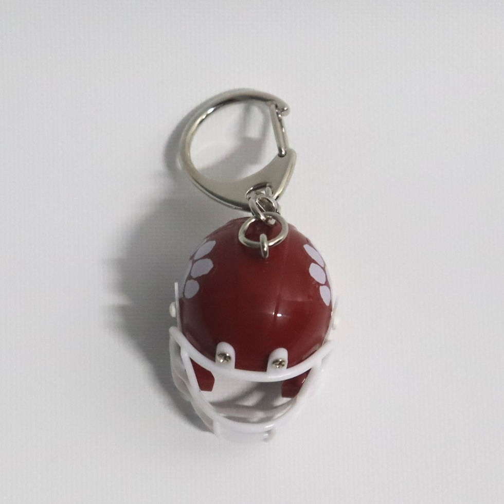 非売品　立命館大学　アメフト部　パンサーズ　ミニヘルメット　希少　レア 非売品 立命館大学 アメフト部 パンサーズ ミニヘルメット 希少