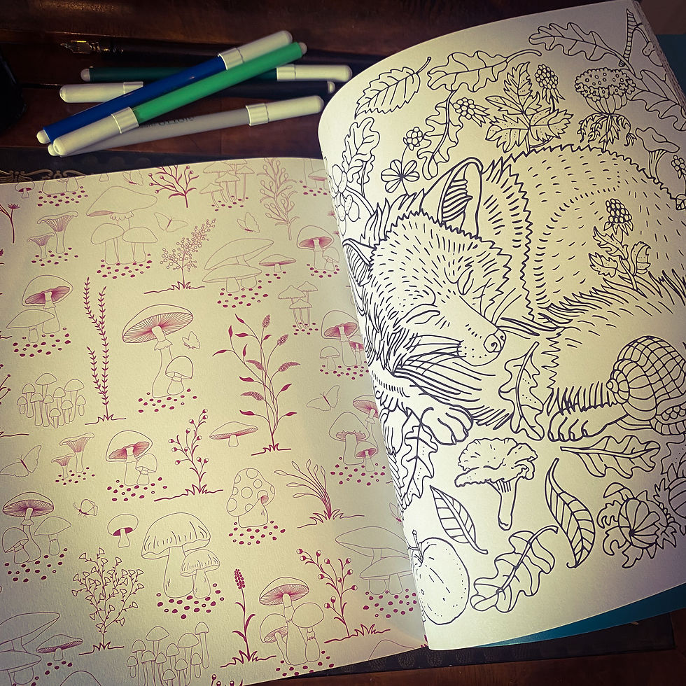 Thumbnail: Forestcore Colouring Book for Mindfulness