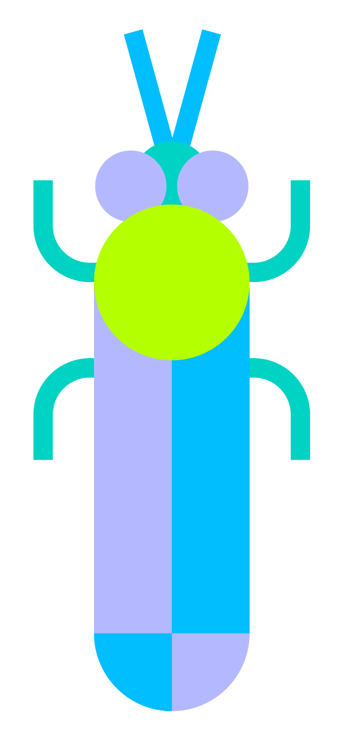 mosca-soldado.png