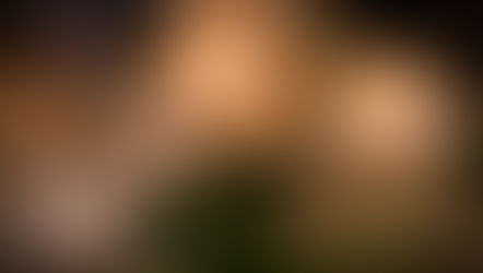 店長のつぶやき