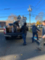 First batch of turkeys arrive!