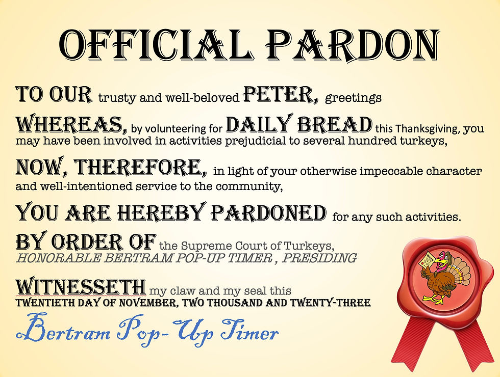 Copy of Pardon Example