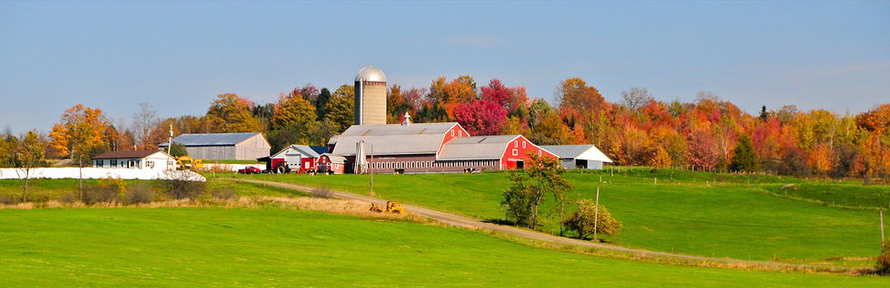 farm banner.jpeg