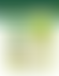 La Nación Borikua Taíno copatrocina la Despensa Intertribal con el Colectivo Grinding Stone