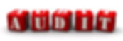 Audit.jpeg