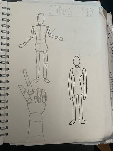anotaomy drawings.jpg