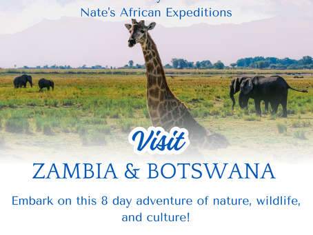 The Safari Escape to Zambia and Botswana