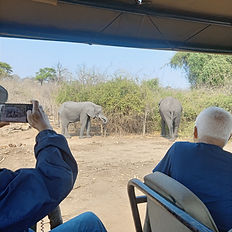 safari in Chobe