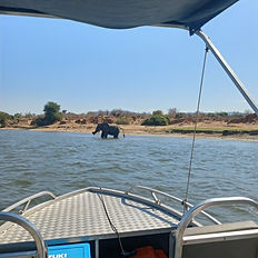 boat safari on zambezi river