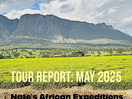 The Southern Africa Tour