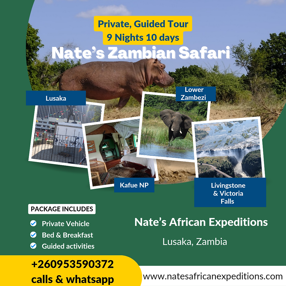 Nate's Zambian Safari