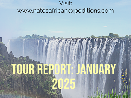 Private Guided Tour From Lusaka to Livingstone