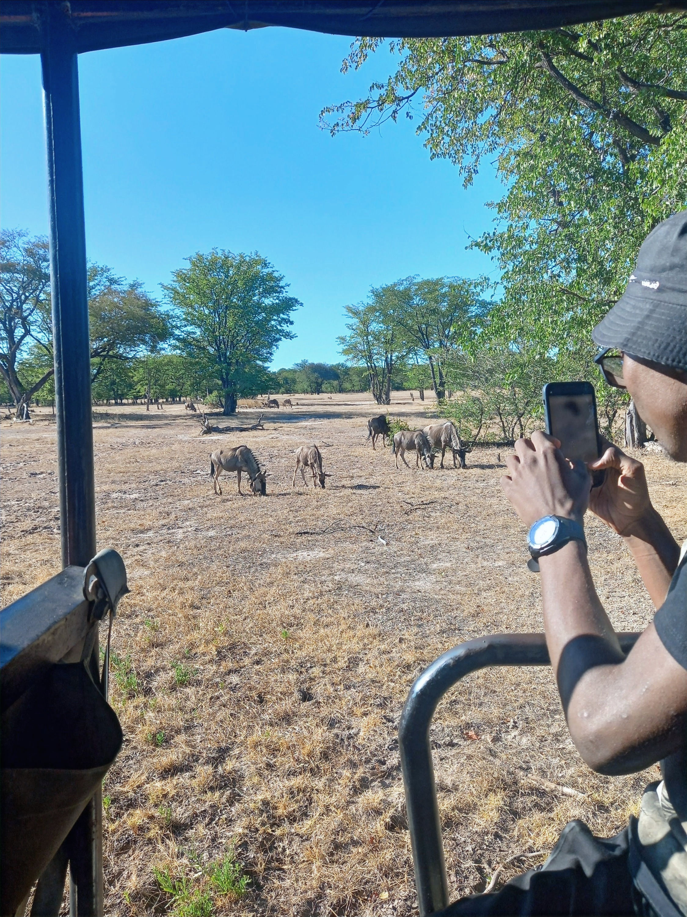 lusaka safari tours