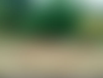 Tour Zambia in 2024 with a local tour guide