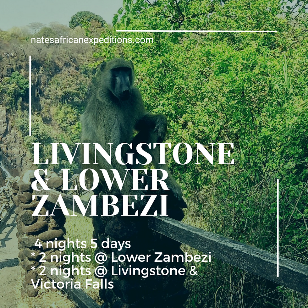 Livingstone and Lower Zambezi