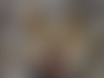 Safari in South Luangwa and beyond!