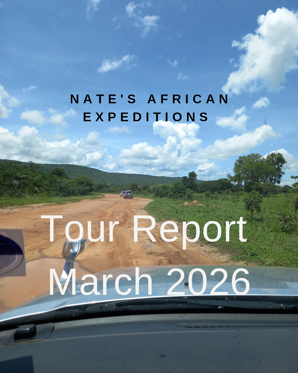 Tour Report, March 2026.