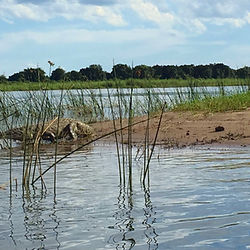 Lower Zambezi