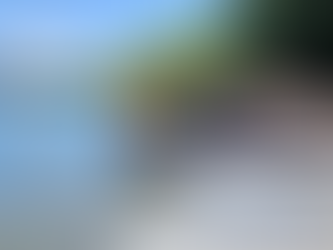 The Southern Africa Tour