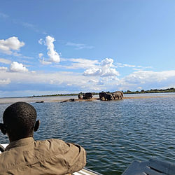 safari on zambezi