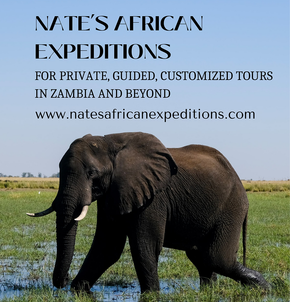 Explore Zambia with Nate's African Expeditions