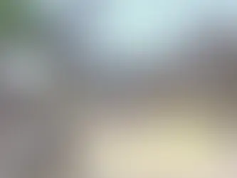 Safaris and Adventures in Zambia!