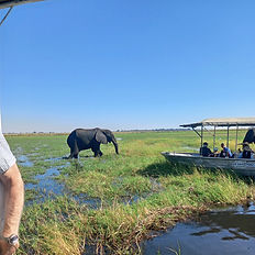 boat safari at chobe, botswana