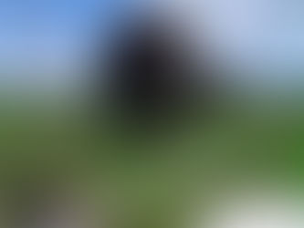 Safari in Botswana and Zambia