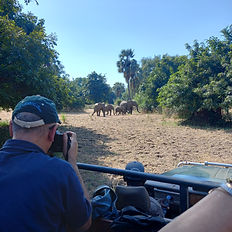 zambia safari