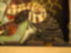 DSCN0399