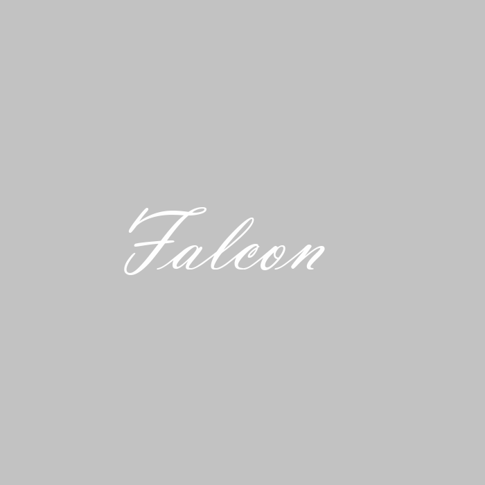 name falcon