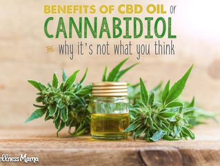 11 Benefits of CBD Oil (Cannabidiol) & Why It’s Not What You Think