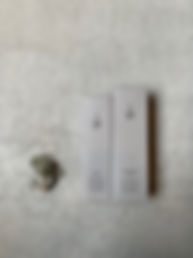 IMG_1022.jpeg