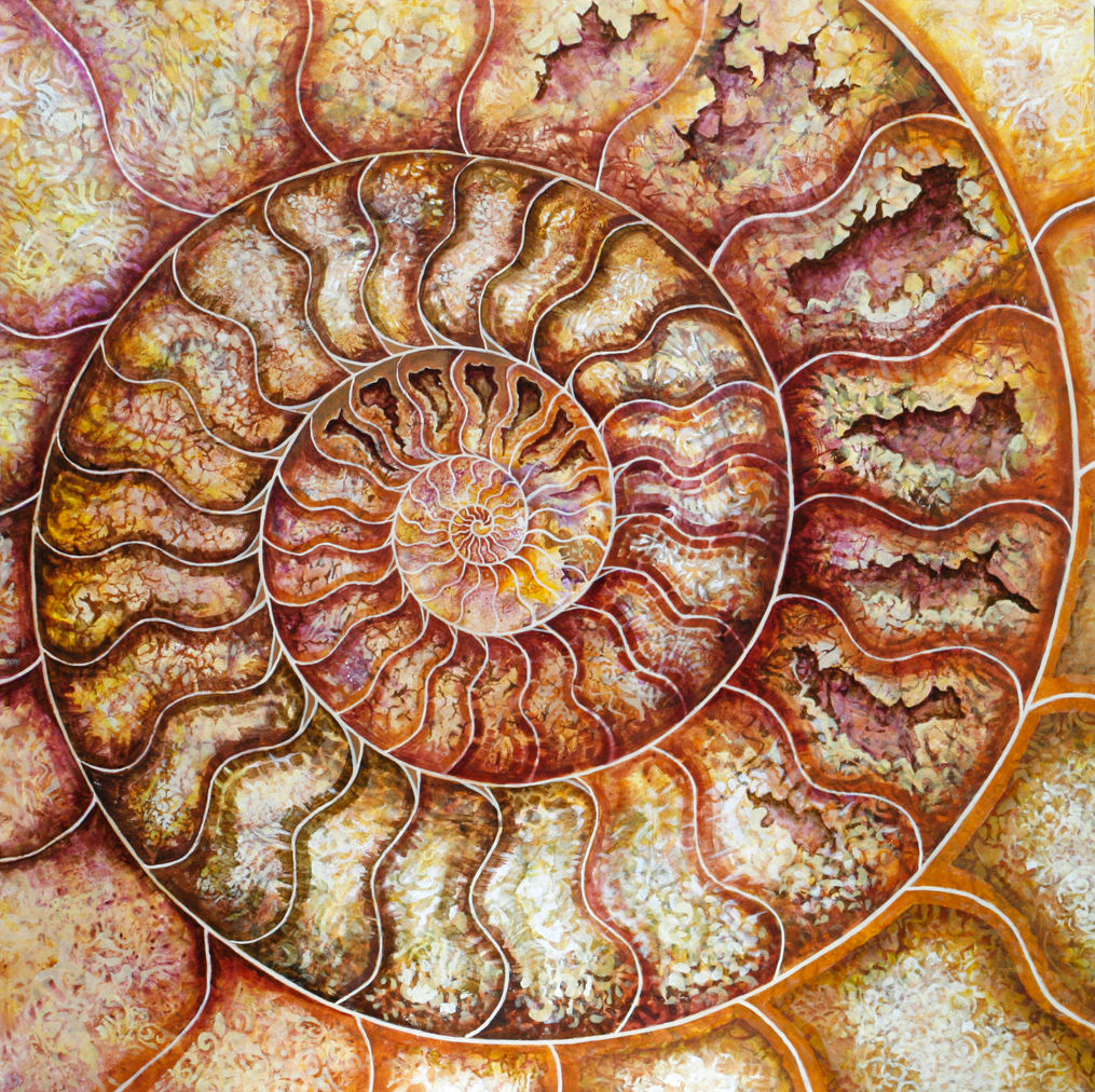 contemporary acrylic painting of an ammonite
