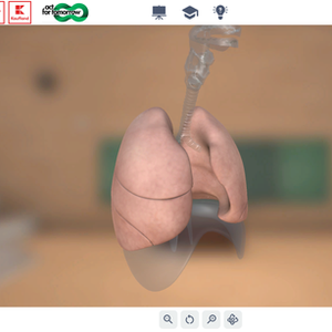SKOOLVERS x Sheepz Studios: Custom 3D Unity Assets for Modern Educational Apps & Smart Boards