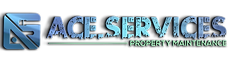 Ace Dot Services Limited Logo