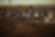 0C2A9069.jpg